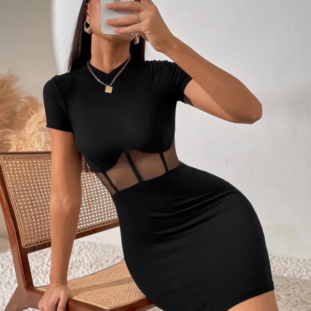 Elegant Black Mesh Panel Dress